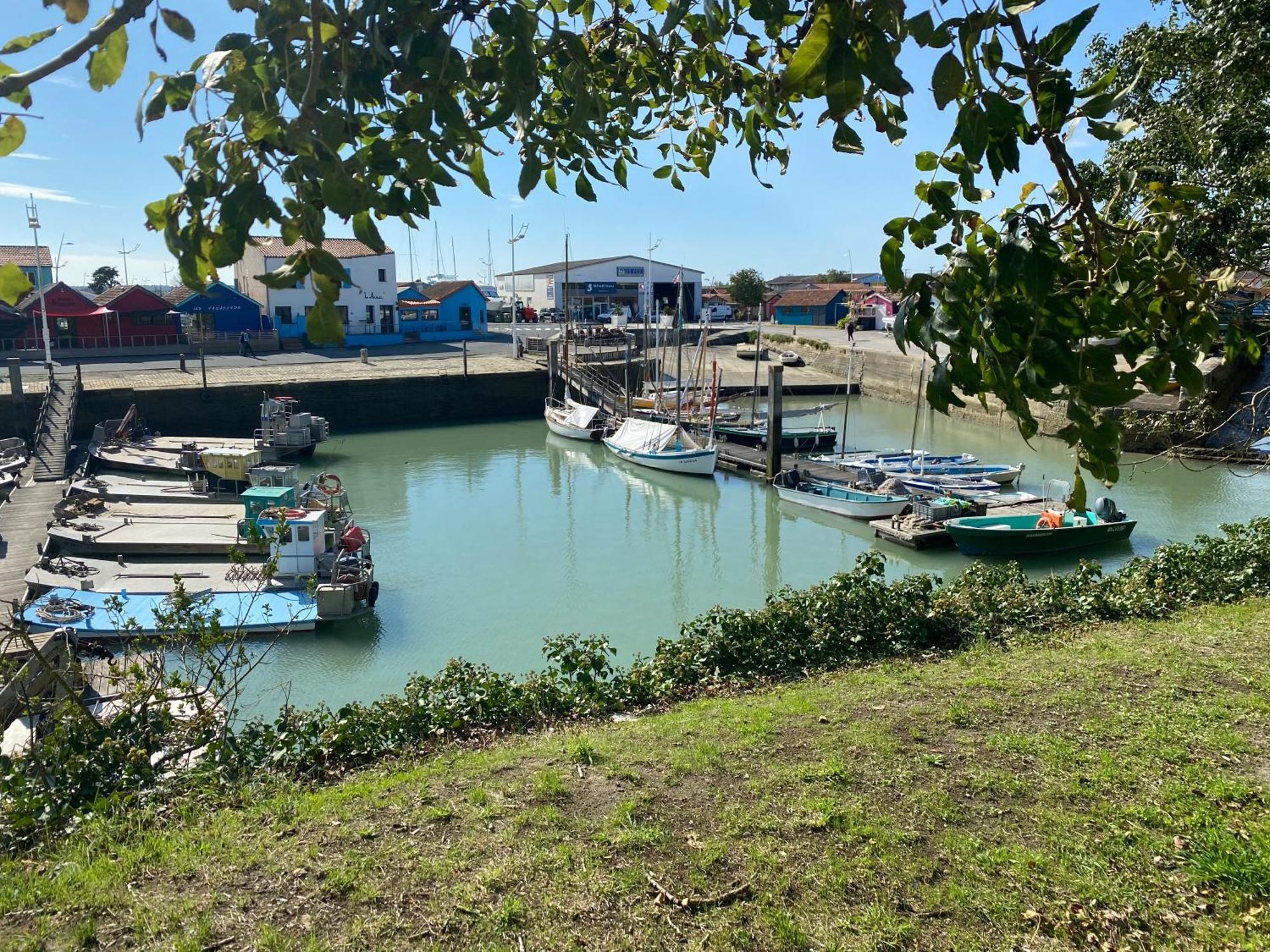 Le Village des Amareyeurs - Ile d'Oléron - Maison classé 3 étoiles avec piscine Le Château-dʼOléron Extérieur photo